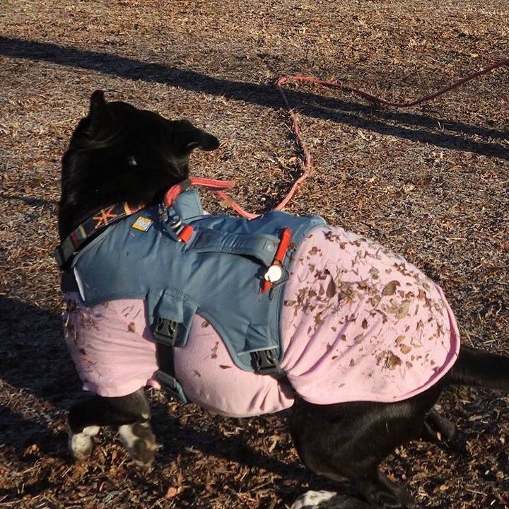 Bfe62d9a 0707 4410 96f6 ef1799820b34 1705020766902