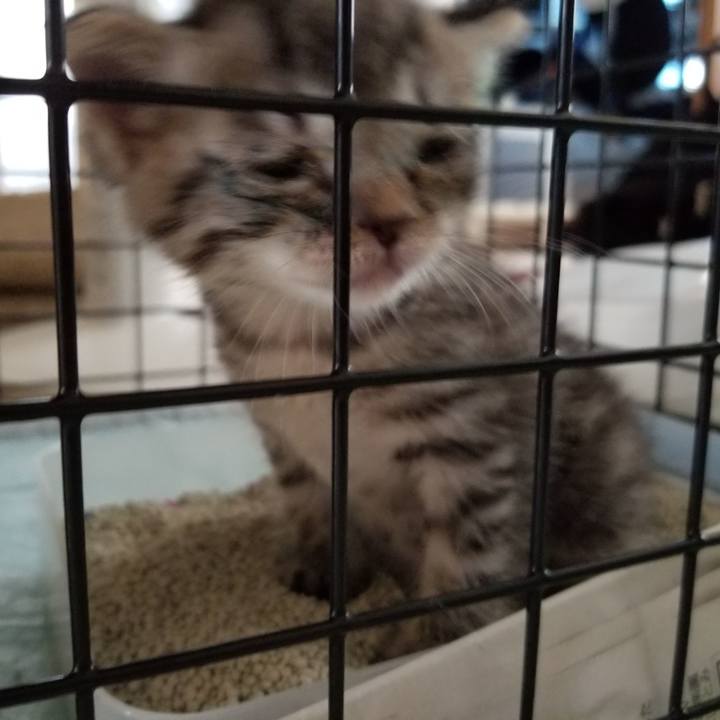 Bfe67da8 abac 4932 afe2 f6b62bcf758f 1660170728835