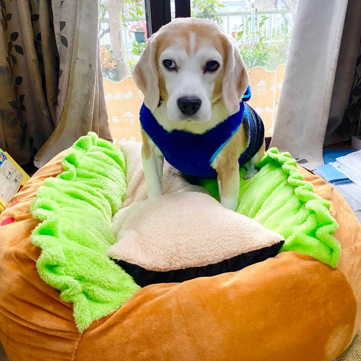 Bfe6800c 348b 4c0c 918f 275a646178b8 1606632277382