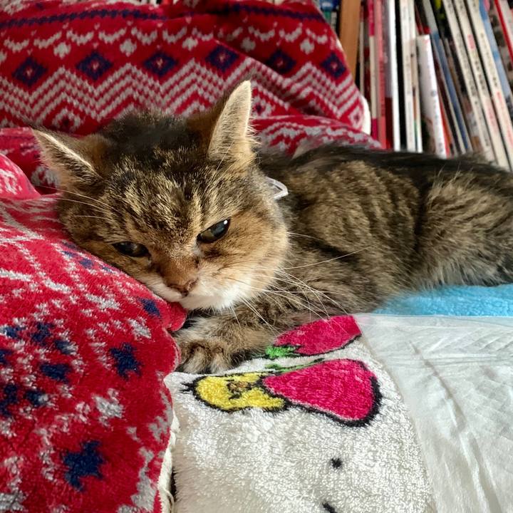 Bfe688ee a364 4a7c b364 6f9868d09019 1571273577213