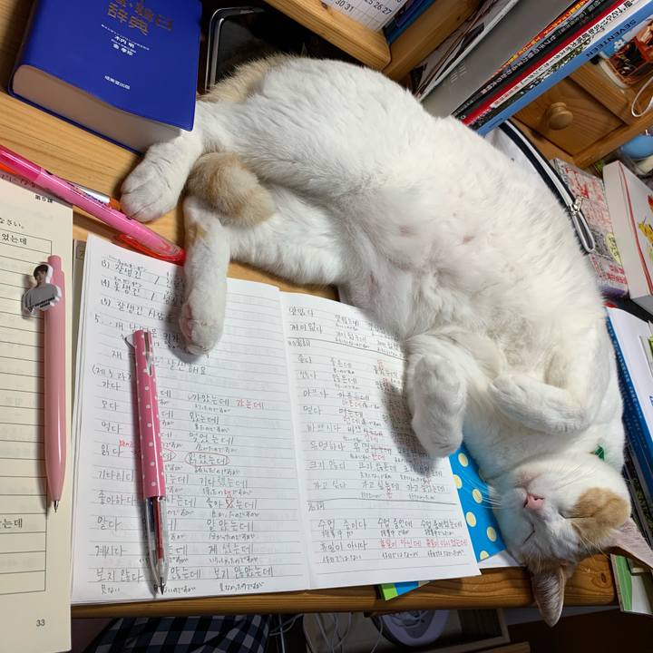 Bfe6b729 9cfb 4bac 89db 07927e179503 1563710923698