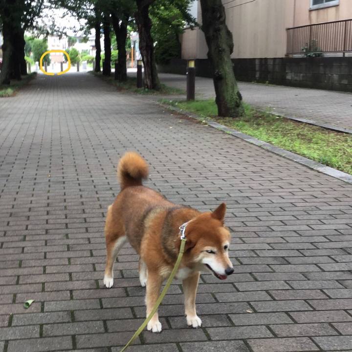 Bfe6fd18 0660 4484 9042 8a584242ac11 1592123945587