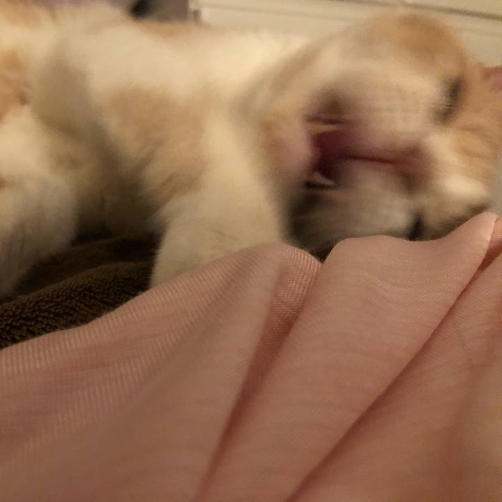 Bfe70950 e185 4d1b bf25 1c00e3cb6285 1534160351407