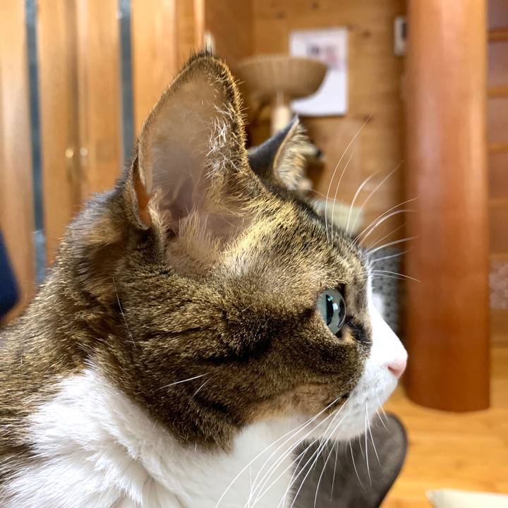 Bfe70e89 6f62 4099 b4f9 b9672c141e64 1584663271540