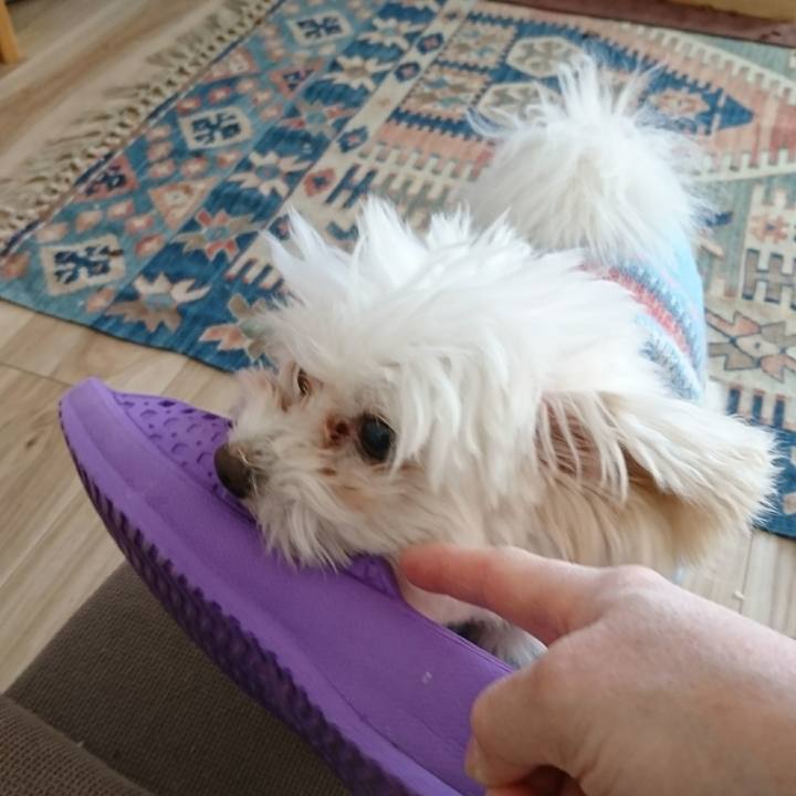 Bfe71b11 6905 4950 be5b bdd236d336e9 1519127739392