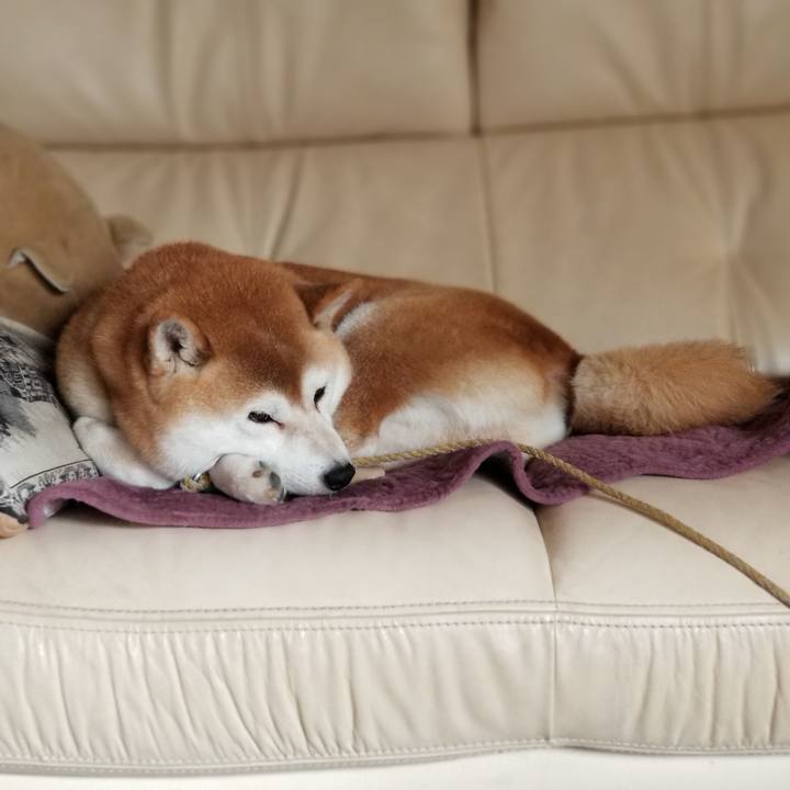 Bfe74f81 7bf2 400a 9371 e4427d3acf79 1605314612217