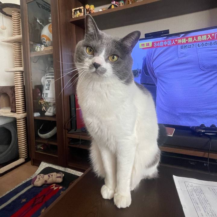 Bfe78303 f9de 4003 851b 6a2b7572ee62 1676330562684