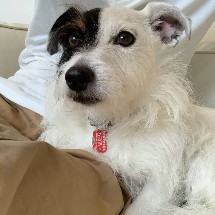 Bfe7a0c7 3f66 4696 9377 4679dba5180d 1593490603965