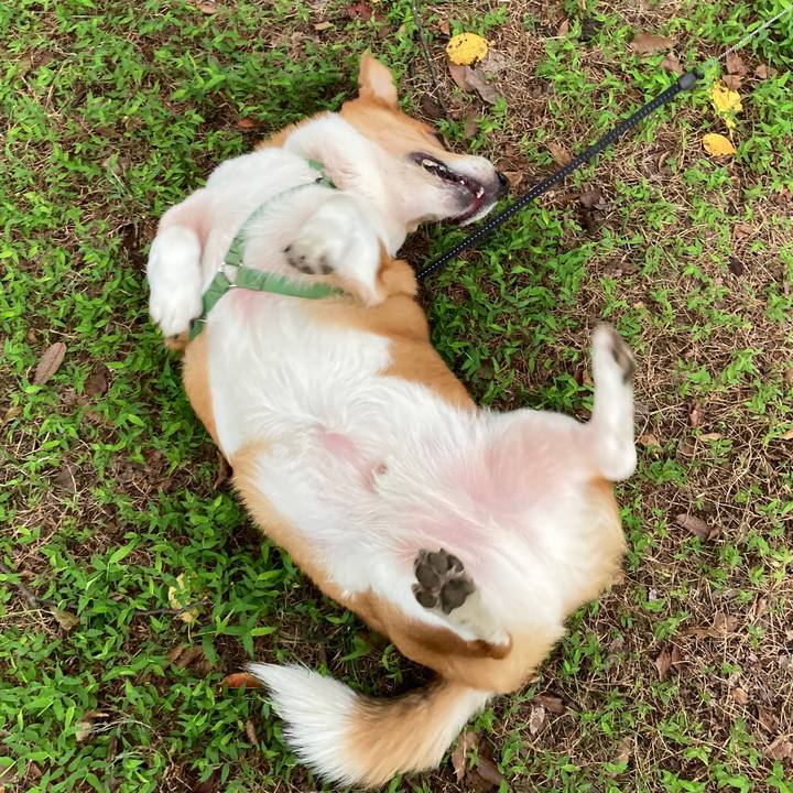 Bfe7bf77 bdd6 4145 8837 ef4f520de546 1728608626004