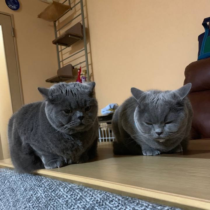 Bfe7d94b 3db9 4c1e b78e 9d4fcc398bf0 1773478391876