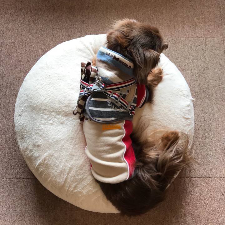 Bfe7dee0 f7ee 4ec5 b69e 6358ae43c9ea 1519179271235