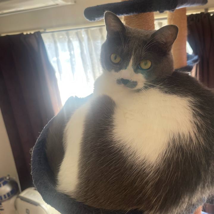 Bfe7f3cf 1475 4fc6 b40c 53f5bc892aee 1728862413971