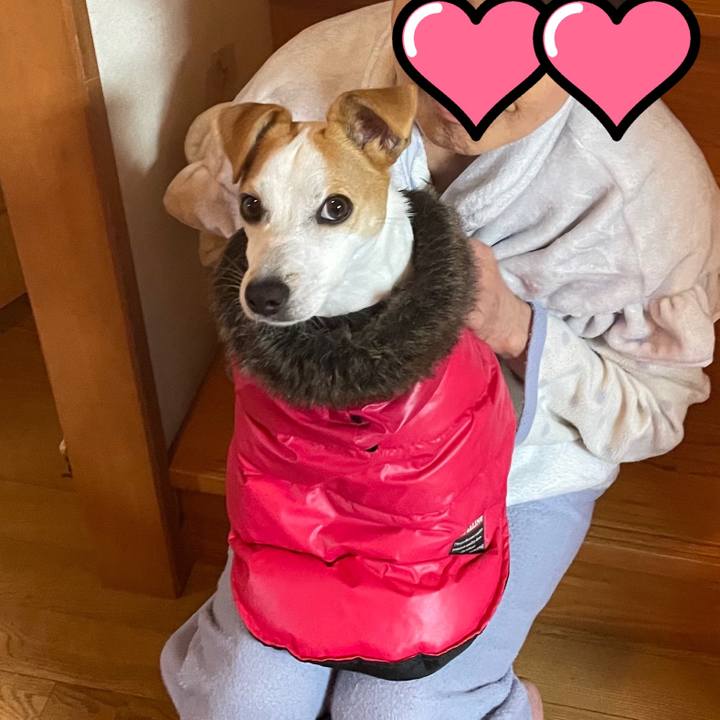 Bfe800ef 6e58 435c 8441 f1d06f5c1799 1607091046825