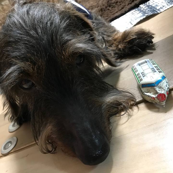 Bfe809b9 63f6 4a6e 87d0 928803b47630 1523776808300