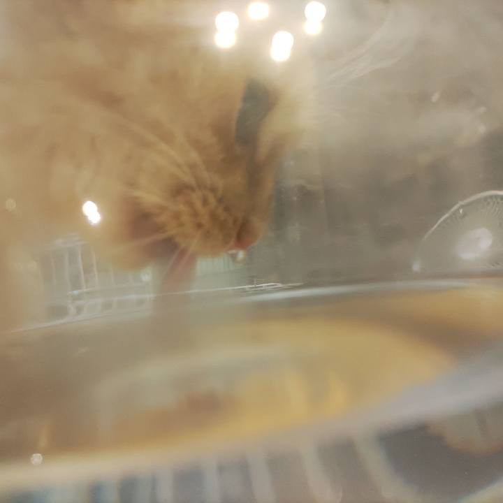 Bfe8208c 16f1 4635 b324 f6d8c3774cae 1675982969691