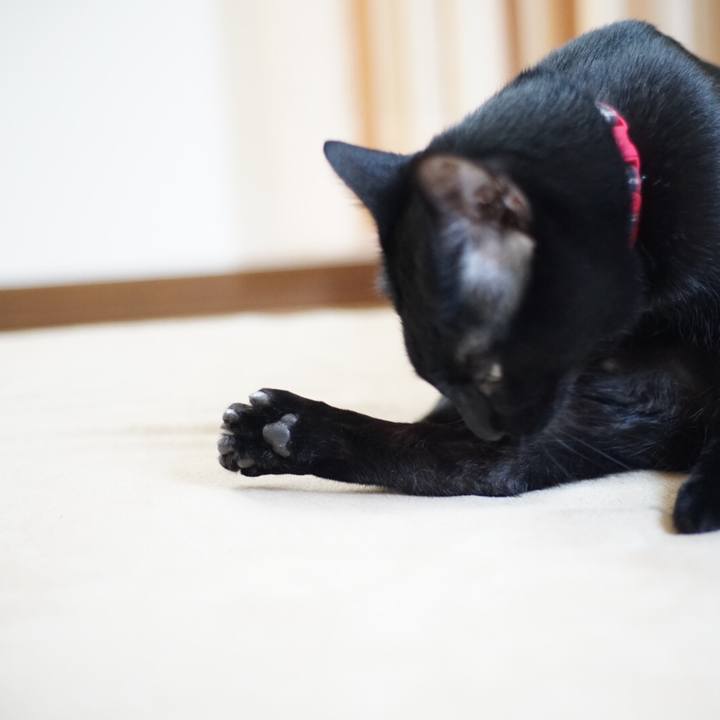 Bfe82aec c639 43f4 bdf5 0d992681f764 1527602915058