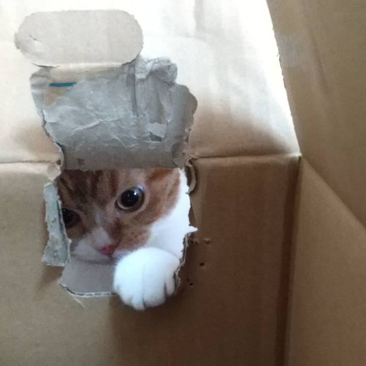 Bfe82eba 97e3 4577 92a3 6afe5eb2655d 1640395105717