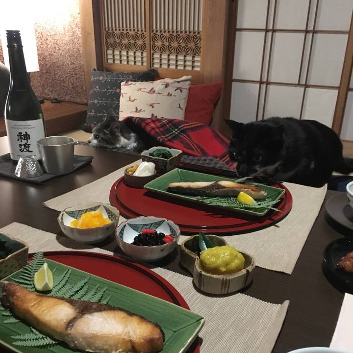 Bfe82fe0 5f42 439e 8b15 c05c9ba19759 1514978034358