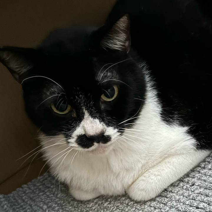 Bfe847b0 fcfc 4a6b aa20 85516a29880d 1718006680242