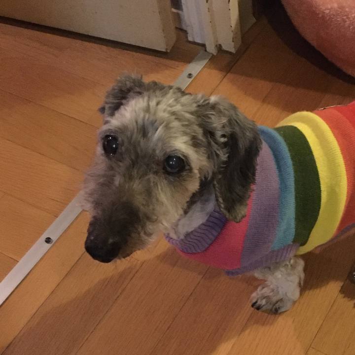 Bfe85b5d d608 4aa3 9ea6 152df82fdd7a 1635503510130