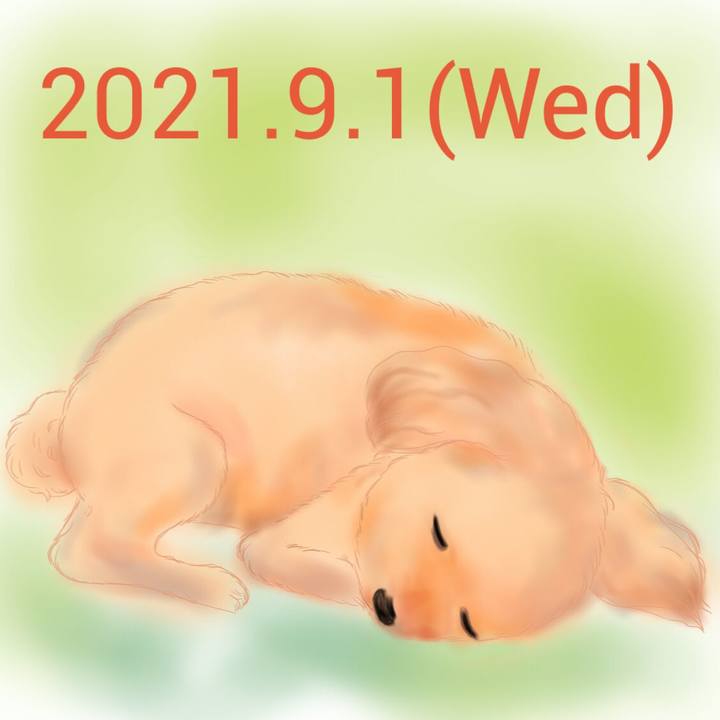 Bfe86444 74bb 47a8 8583 b5bd2d1e20ef 1630499047388