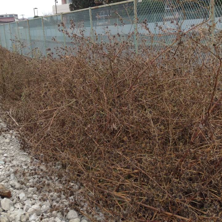 Bfe8b5d8 b361 494a 83e5 943a998c8317 1545454706429