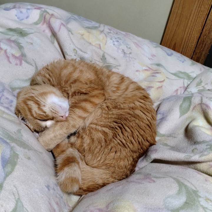 Bfe8b98c 3bf0 4a47 8762 6e12f9f0a895 1674653911531