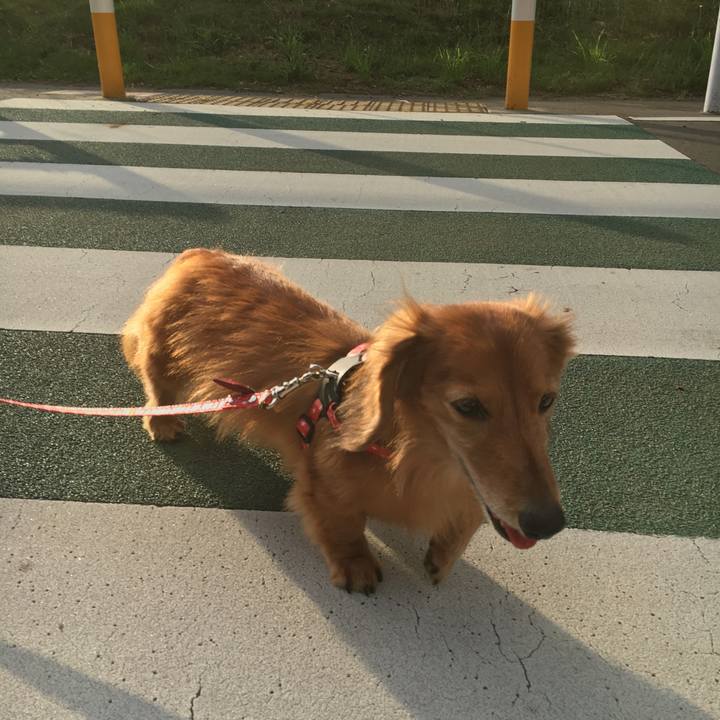 Bfe8efd5 c283 4434 9fb9 5870594f21ab 1590314214776