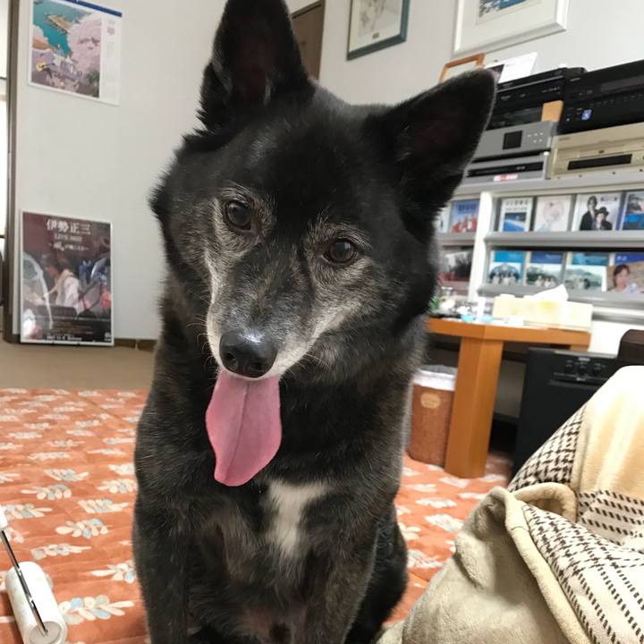 Bfe93c3e 6a3b 4763 bb66 634549bda181 1522664179091