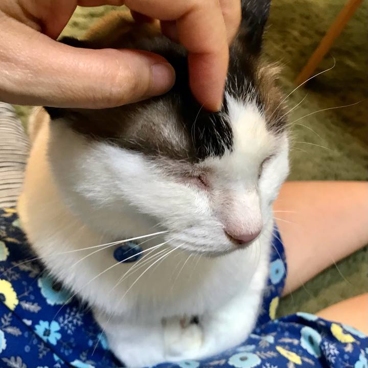 Bfe95121 92ef 4900 a57f 9473db3f5e48 1623329849740