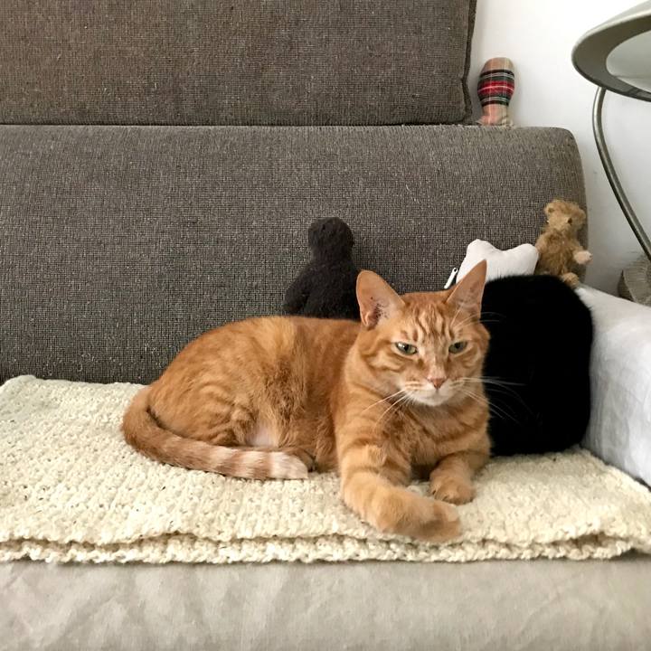 Bfe951ee a67a 4a8f 9433 1d9c3d1a19d3 1528342236283