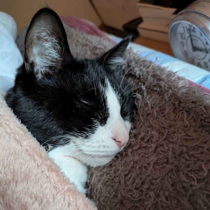 Bfe9876f f149 4bc6 a75a 4b76aced5c4f 1772273503379