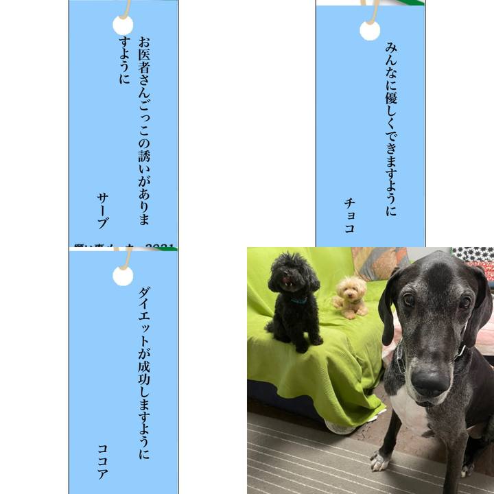 Bfe99fd8 df2b 4b20 ad36 33363ae3104d 1625568618883