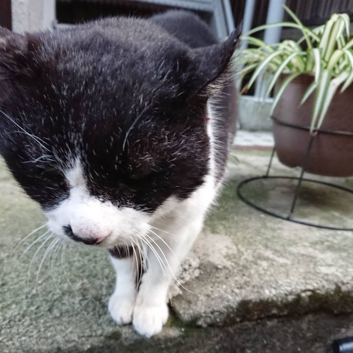 Bfe9cc33 ad8d 4a52 b1f7 e7714f4f6312 1679908367297