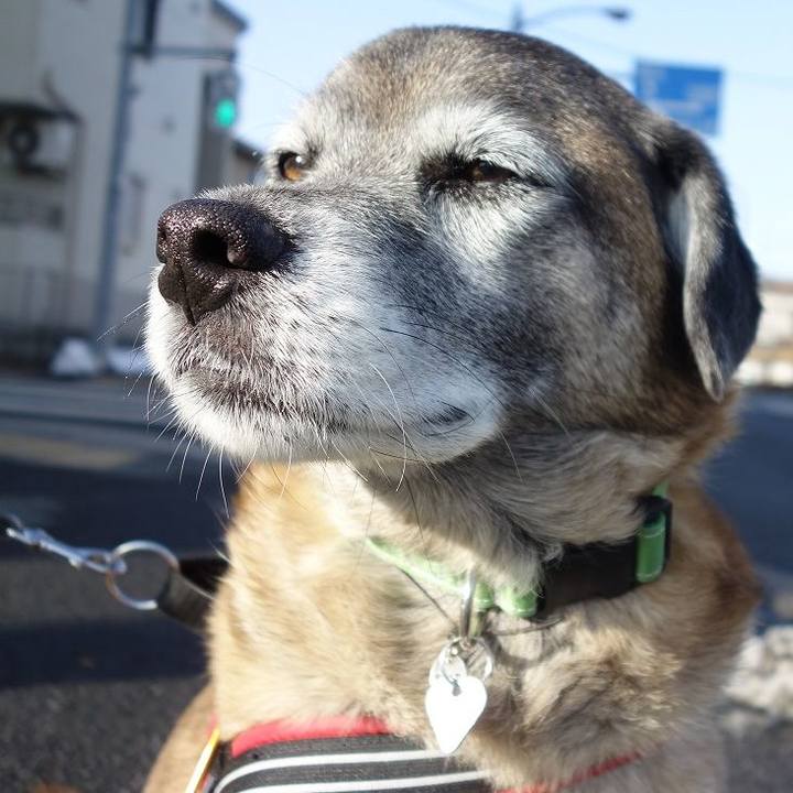 Bfea34a5 0459 4576 936a 23578e0ad75a 1517637546687