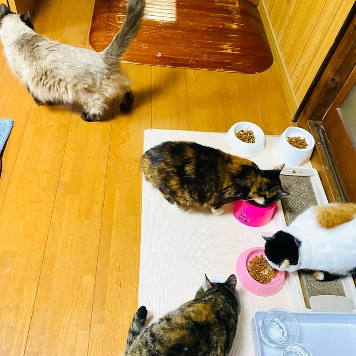 Bfea4fbf 7786 4e0e b0b0 4d3b30695c58 1674769870574