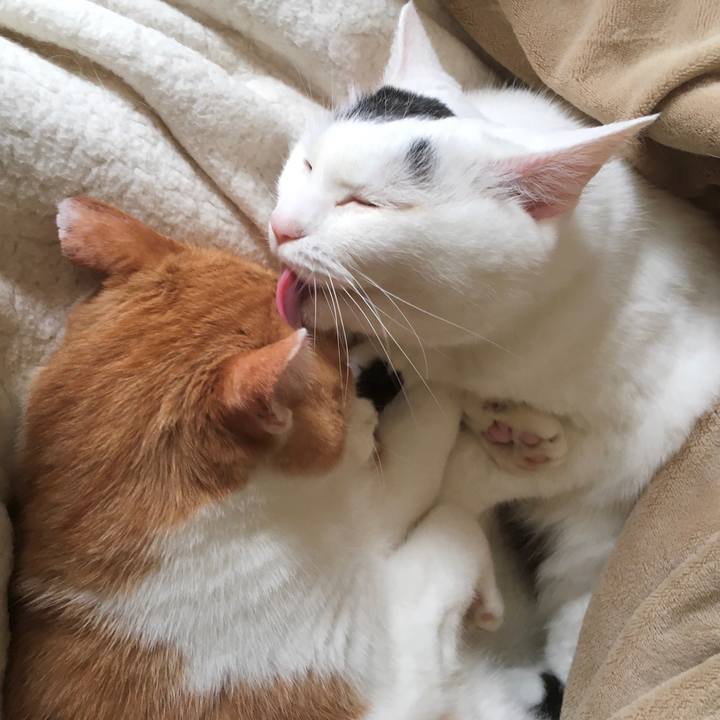 Bfea8b28 86c1 485d af02 7548c99d5471 1602457548799