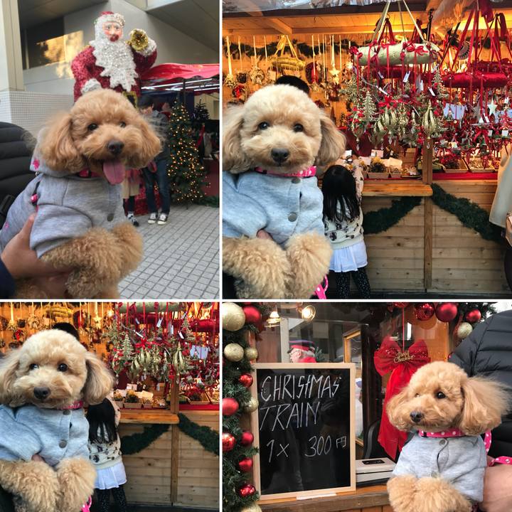 Bfea98ba 91df 46e1 8dbe 561a6bdcd98a 1512287208472