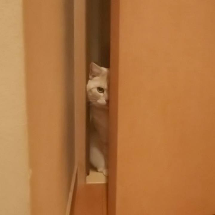 Bfeaa4d2 b3ec 4af1 93d0 d255e5f57368 1581246646062