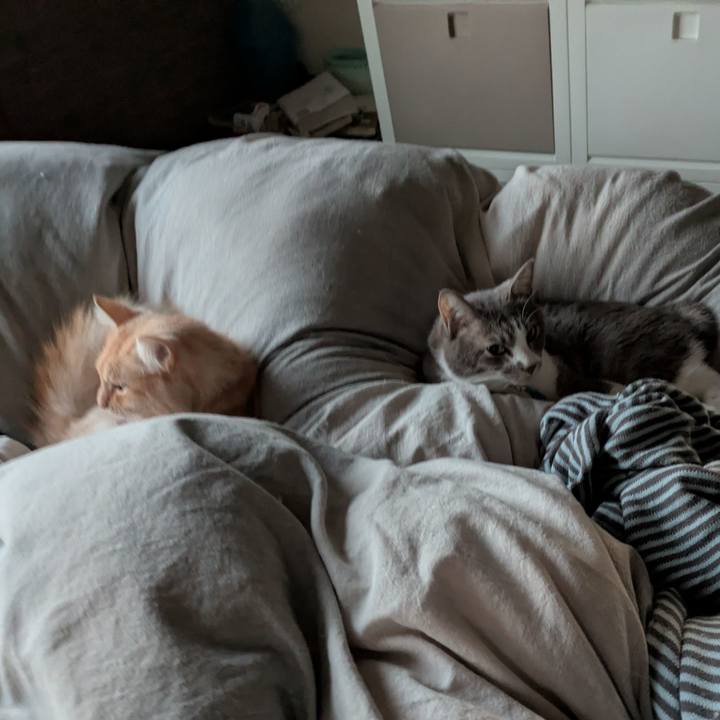 Bfeaae7f 14a6 44b3 b1ed 4da5a7b78453 1731362663400