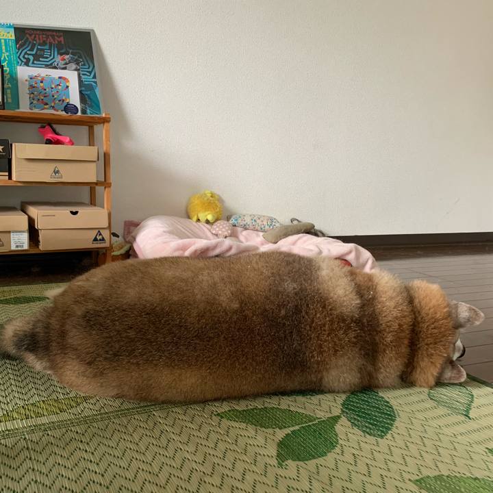 Bfead7ac 9d82 45dc a040 6f30b3b08a49 1624274317554