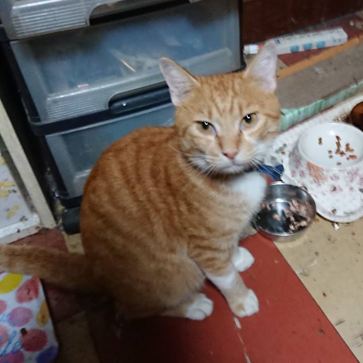 Bfeae6dc 42af 44fd 81f2 ba47a2a057ca 1568059212979