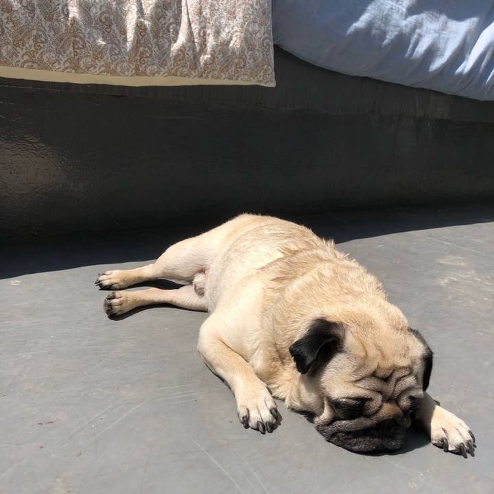 Bfeae7ab 5d37 4aca b428 1c6c05055fe8 1524275416885