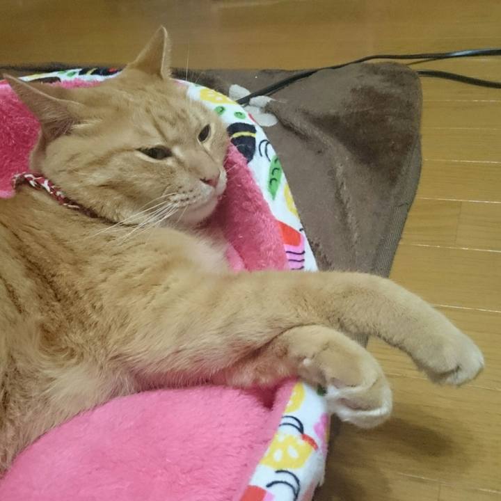 Bfeaf077 6699 477a 9a57 02482c43acf3 1524600852148