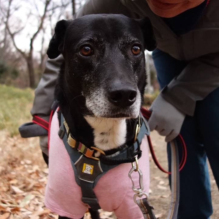 Bfeb0e19 221d 4d28 8c4e e89a4aab9f2b 1735862459766