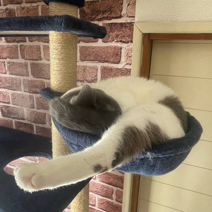 Bfeb0fb8 ea92 4e37 941e 5b69a5b6b319 1635306164018