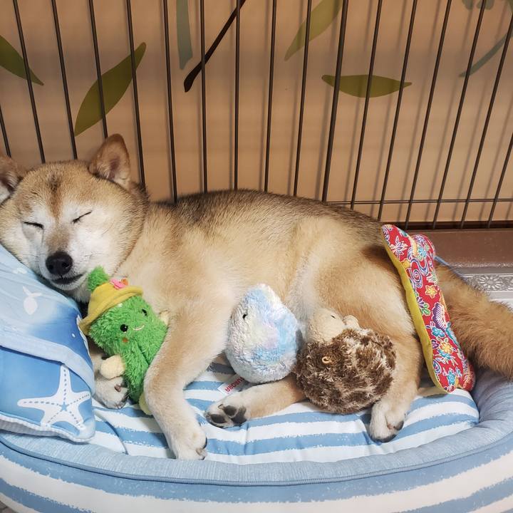 Bfeb1a19 817d 46be 868e 4aa7be01d8bd 1654561104357