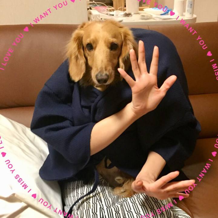 Bfeb949c d525 45ce a5f9 841774440f44 1522631274360