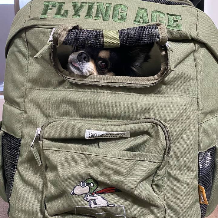 Bfeba359 dbe5 42c9 aacc ec817d6b1dc7 1606032430989