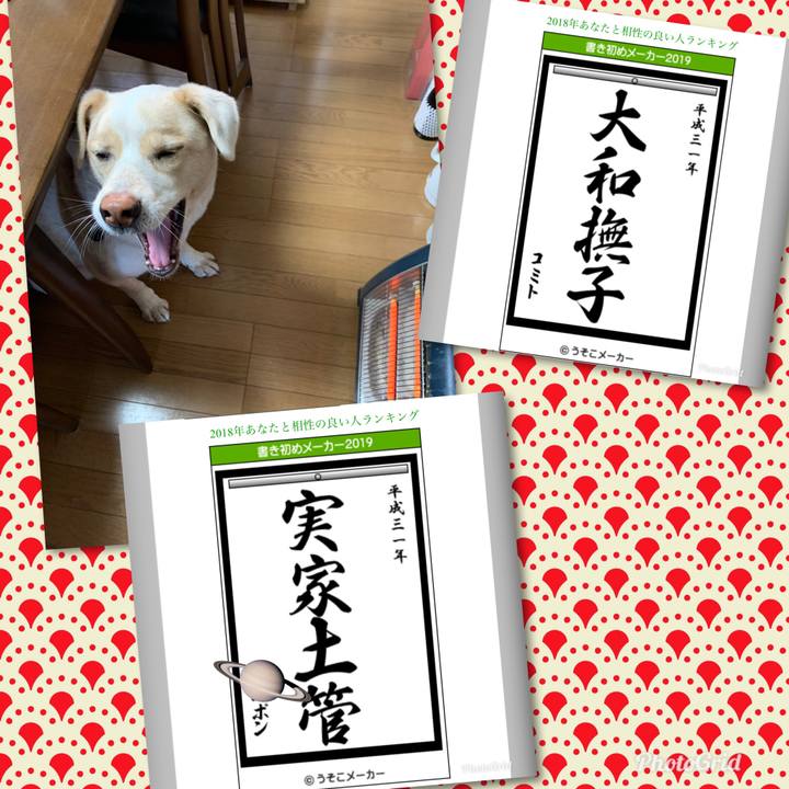 Bfebb7d2 070c 4b41 b470 596761e70e4f 1546560483987